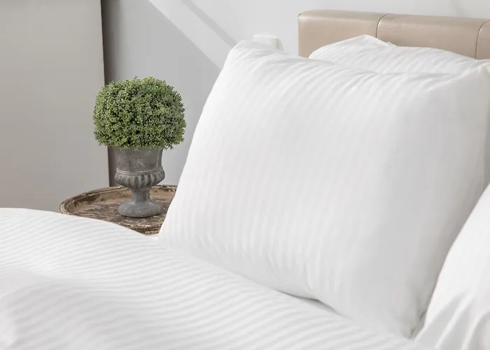 With Complimentary Parking Off Site 4* Brasov